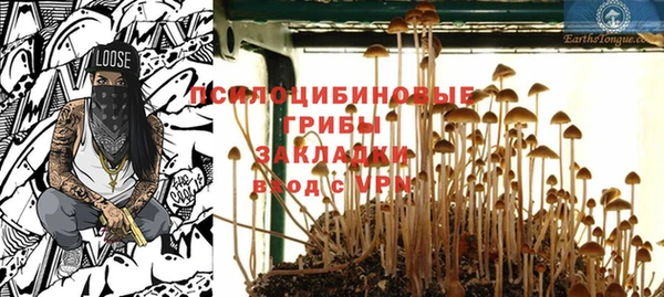 спиды Белокуриха