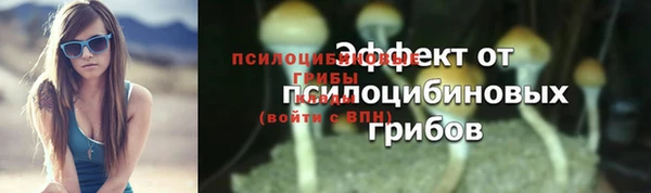 спиды Белокуриха