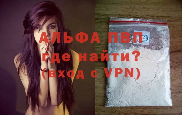спиды Белокуриха