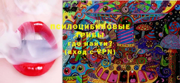 спиды Белокуриха