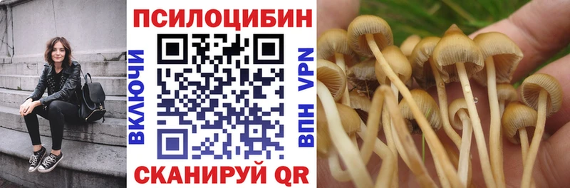 Галлюциногенные грибы MAGIC MUSHROOMS  ссылка на мегу ссылки  Валуйки 