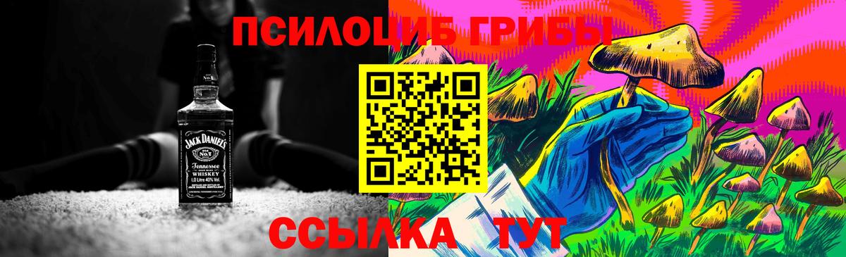 Галлюциногенные грибы Psilocybe Валуйки